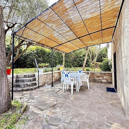 Apartmán Jardin & Terrasse Ombragee - T2 Cozy Et Paisible La Garde  Exteriér fotografie